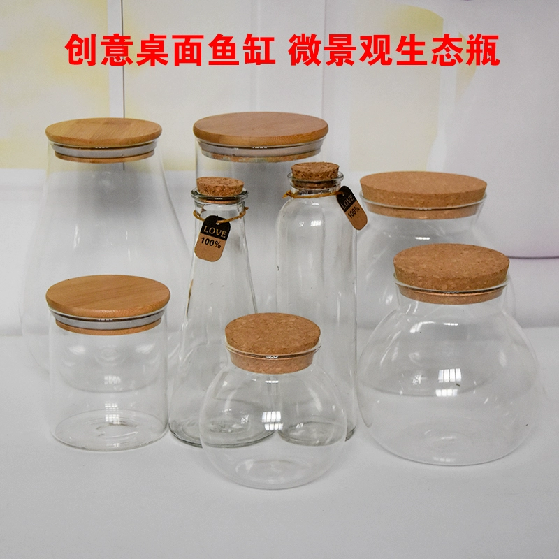 Креативный аквариум эко-шарик стеклянная маленькая пустая бутылка DIY с микро-ландшафтным декором мини-столешница