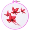 ΔЖδδδδred maple δЖδδδδ