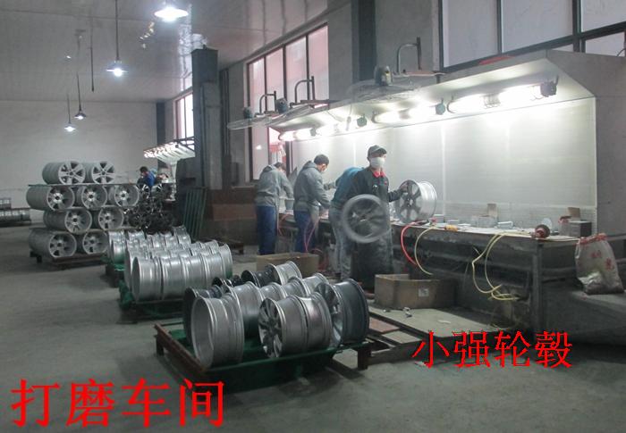 Suitable for Byd Su Rui Qin Dolphin Modified Seagull Hub Wheels