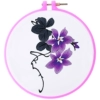 ΔЖδδδδPurple Clivia δЖδδδδ