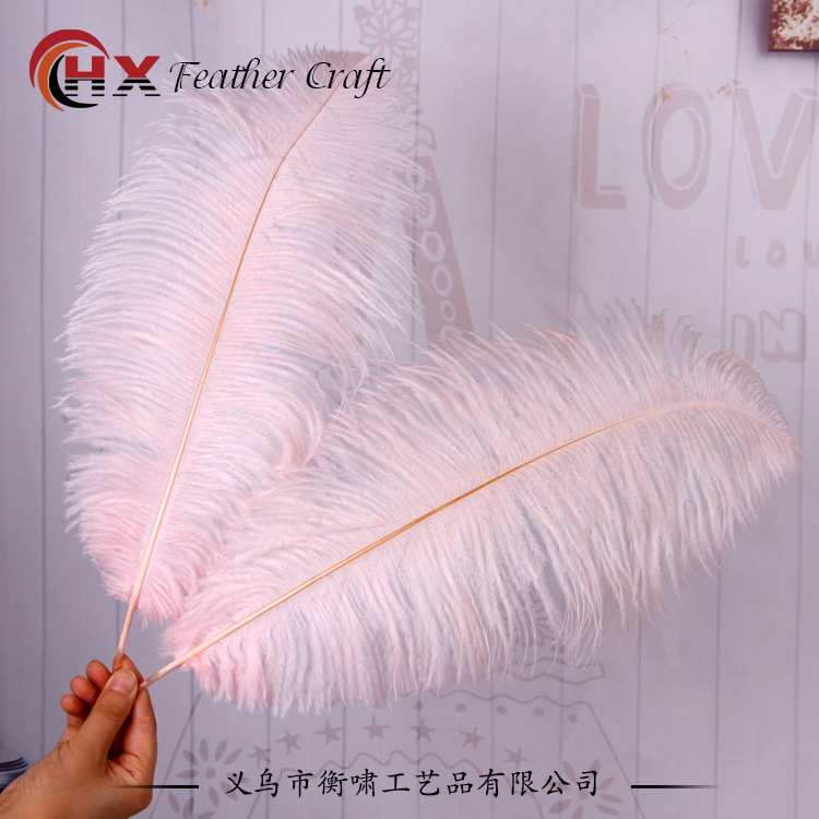 Plumas de avestruz DIY red ins rosa de avestruz accesorios de fotografía de camello adornos de plumas de boda decoración