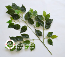 榕树叶手感胶假树叶园林塑料叶子绿色植物造型装饰树叶树枝