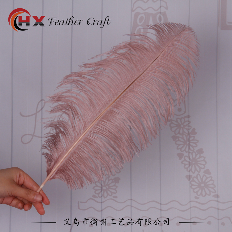 Plumas de avestruz DIY red ins rosa de avestruz accesorios de fotografía de camello adornos de plumas de boda decoración