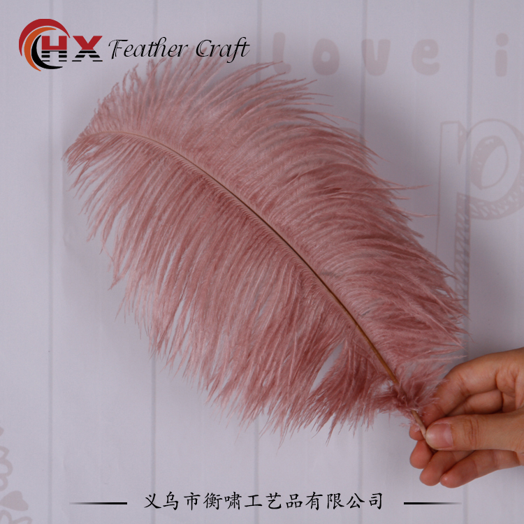 Plumas de avestruz DIY red ins rosa de avestruz accesorios de fotografía de camello adornos de plumas de boda decoración