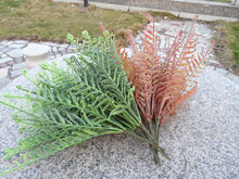 �¿�����ާ�~ ����ާ �������Gֲ�b廨�[�Ų��݇�����ɫ�~