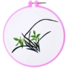 ΔЖδδδδOrchid δЖδδδδ