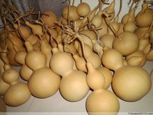 A6T�������L����J���l18-22���׃�����Ȼ���J���wͬ�W�}�Q������