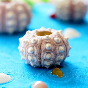 ��Ȼ��đоؐ�����݄���diy���к����W�b�̨�՚��P����⻨��