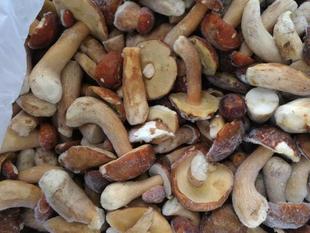 ��ϱ���Ұ����ţ�ξ���������[�t�[��ţ�ΰ�ţ����ζţ�������^