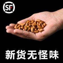 松子开口 包邮500克东北手剥松子散装包装简装系列中国全年