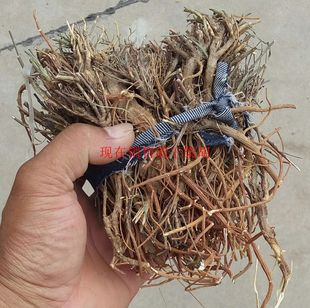 材山西柴胡条纯野生柴胡根统根红柴胡北柴胡根一斤包邮-阿里巴巴