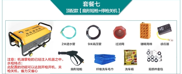 Portable car washer high pressure 220v car brush water pump artifact washer water gun household tools black cat car washer