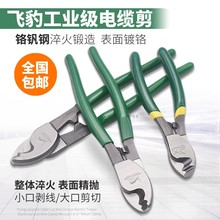 �w����|�� 늾����� ��[�Q 늹��о��ྀ�Q�ք�6 8 10��g���Q