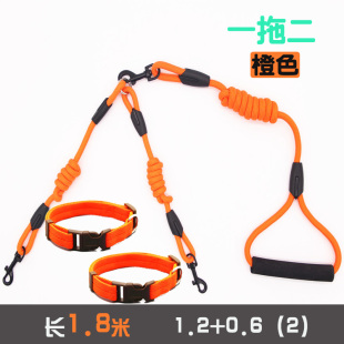 Two Dogs, One for Two, Double-Headed Dog Leash, Dog Leash, Dog Leash, Pet Leash, Teddy Golden Retriever, Small, Medium and Large Dogs