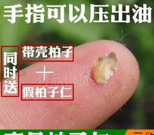 ɽ|ҰʰʂȰʰؘNӲİʲᗗ