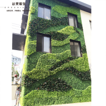 �����T�^�bGֲ�� ���w�G����ֱ����Gɫ�������²� ����ֲ�