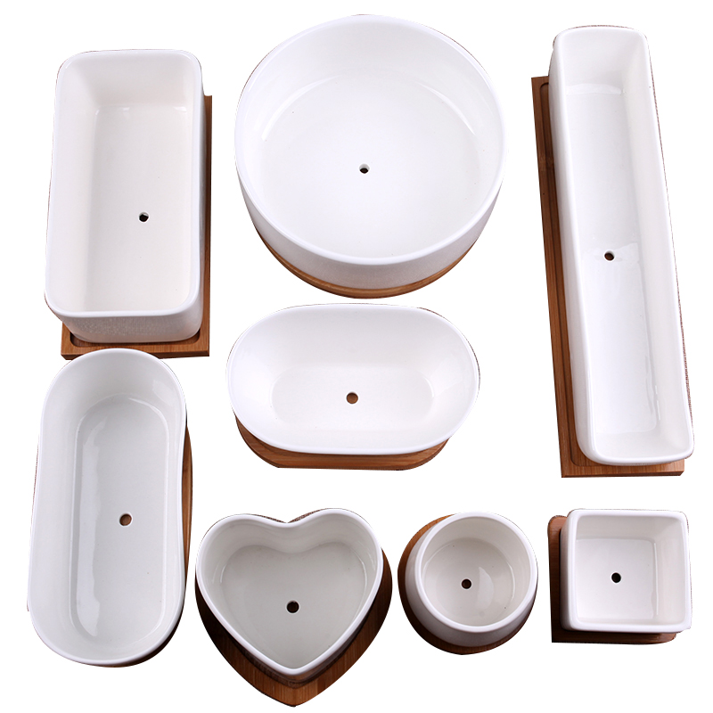 Cerámica suculenta maceta de plantas suculentas maceta de flores de porcelana blanca simple hecha a mano maceta de plantas de carne pequeña