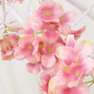 �����T���٘����҃Ƞ����b�c�������b���ٗl����������