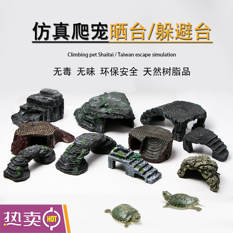 Черепаха Сантай Водная черепаха Бразильская черепаха размножается и избегает пещер