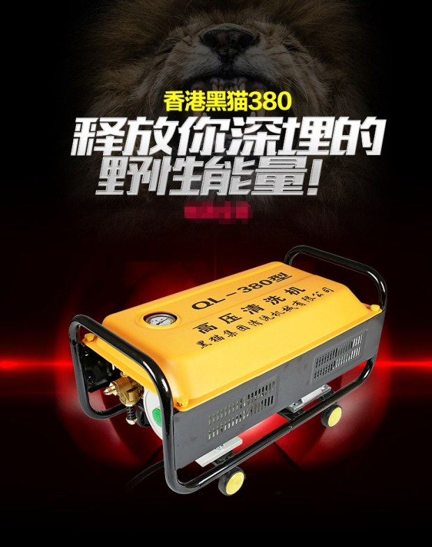 Portable car washer high pressure 220v car brush water pump artifact washer water gun household tools black cat car washer