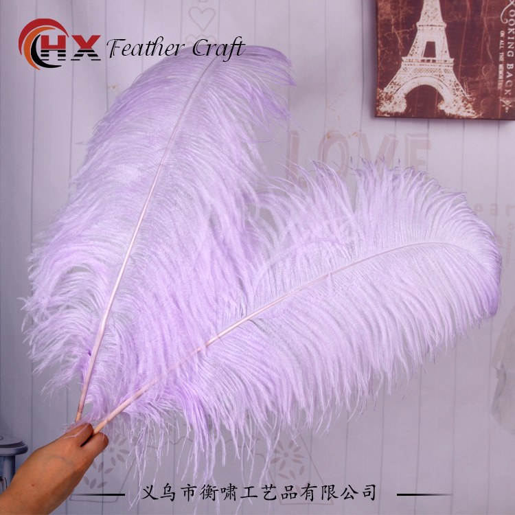 Plumas de avestruz DIY red ins rosa de avestruz accesorios de fotografía de camello adornos de plumas de boda decoración