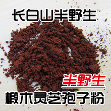 Ұ`֥ӷ  ֥ӷ ֥`֥ 250 ]