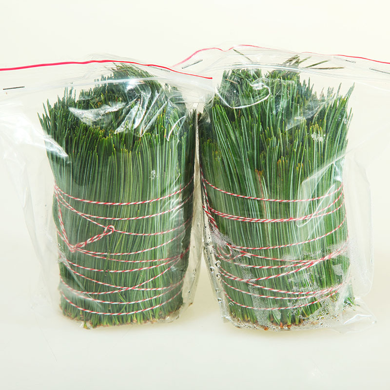 Changbaishan Wild Pine Needle Tea, Fresh Pine Needles, Red Pine Needles, Five-Needle Pine Needles, Horse-Tail Pine Needles, Enzyme 500g, Free Shipping Changbaishan Wild Pine Needle Tea, Fresh Pine Needles, Red Pine Needles, Five-Needle Pine Needles, Horse-Tail Pine Needles, Enzyme 500g, Free Shipping
