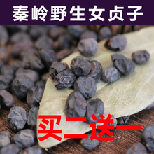 买2送1斤新货秦岭野生成熟女贞子 女贞子茶 500克店有旱莲