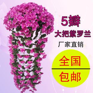 ���_�m�ڒ���m������ٻ����ϻ����������ٗl�̨��c�b�