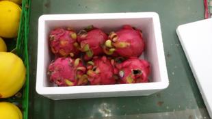 No. 4 Foam Box Thermal Insulation Fresh-Keeping Box Foam Box Fruit Express Refrigerated Packaging 284kg Promotion Wholesale Wholesale