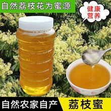 荔枝蜜2斤蜂蜜天然农家自产龙眼蜜百花土蜂蜜鸭脚木冬蜜