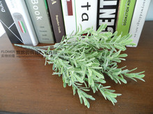 ��ֲëС�� ���ϲݻ� ��Ʒ���b �ҾӔ[�Ż�ˇ ֲ��~��