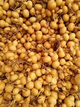 A6T��Ȼ�ְ������F������J��ˇƷ4��7����Ƥ�|�ϳɴɌ������Ȼ