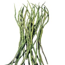 紫皮石斛鲜条500g石斛 紫皮石斛之乡龙陵直销 非霍山铁皮石斛鲜条