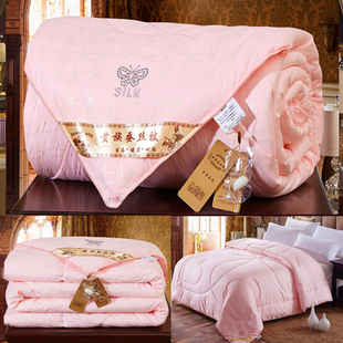 Silk Quilt, Mulberry Silk Quilt Core, Air-Conditioned Spring, Autumn and Winter Quilt, Winter Single and Double Warm and Thickened