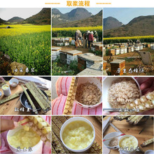 r{ԭ{ͲҰȻrԮaƷʝ{{500g