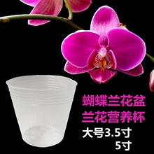 �����m �m���I�B�� �FƤʯ��������������Ӻ��ɫ͸���I�B��