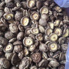 西峡香菇 香菇 250g 剪根 冬菇 干香菇 香菇干货 250克包邮 半斤