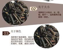 海笋干货新品10包整箱批每包100克促销海藻海茸新货野生海笋