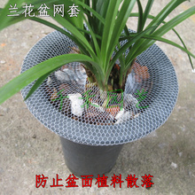 ���ϾW��ֲ��ɢ�仨��W�� ���茣�þW�� ֲ�ϱ��o�W �m����W��