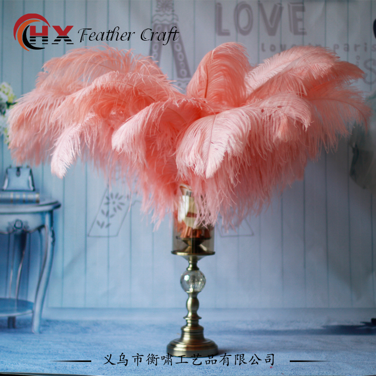 Plumas de avestruz DIY red ins rosa de avestruz accesorios de fotografía de camello adornos de plumas de boda decoración