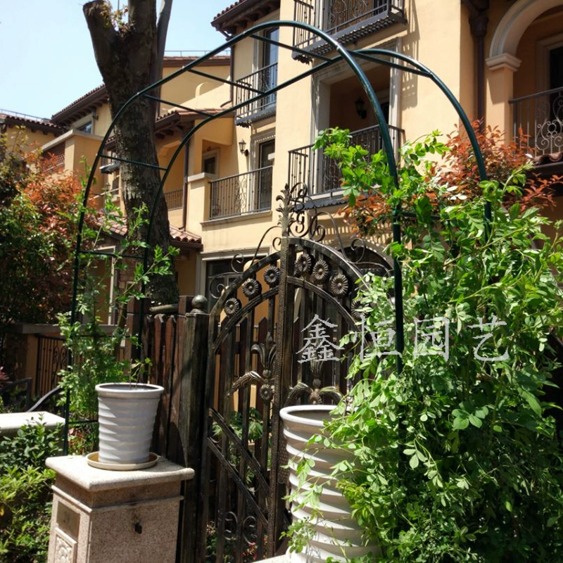 Специальная доставка 19 мм толстые арки железный цветок рамка дорожная полка виноградная лоза луны