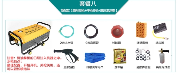 Portable car washer high pressure 220v car brush water pump artifact washer water gun household tools black cat car washer