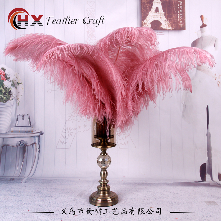 Plumas de avestruz DIY red ins rosa de avestruz accesorios de fotografía de camello adornos de plumas de boda decoración