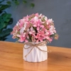 Horcho -colored pink Jiuli fragrant butterfly