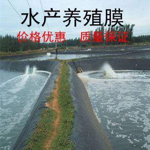 J8 Anti-Seepage Membrane Pond Aquatic Waterproof Cloth Shrimp Composite Fish Lotus Pond Moisture-Proof Breeding Membrane Fish Pond Hdpe Soil Construction Foundation G3