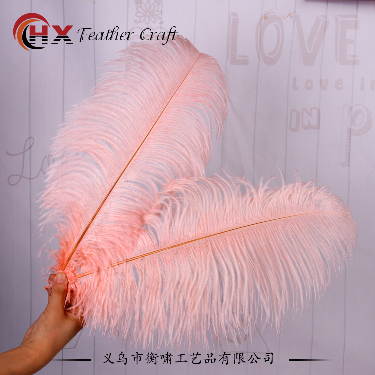 Plumas de avestruz DIY red ins rosa de avestruz accesorios de fotografía de camello adornos de plumas de boda decoración