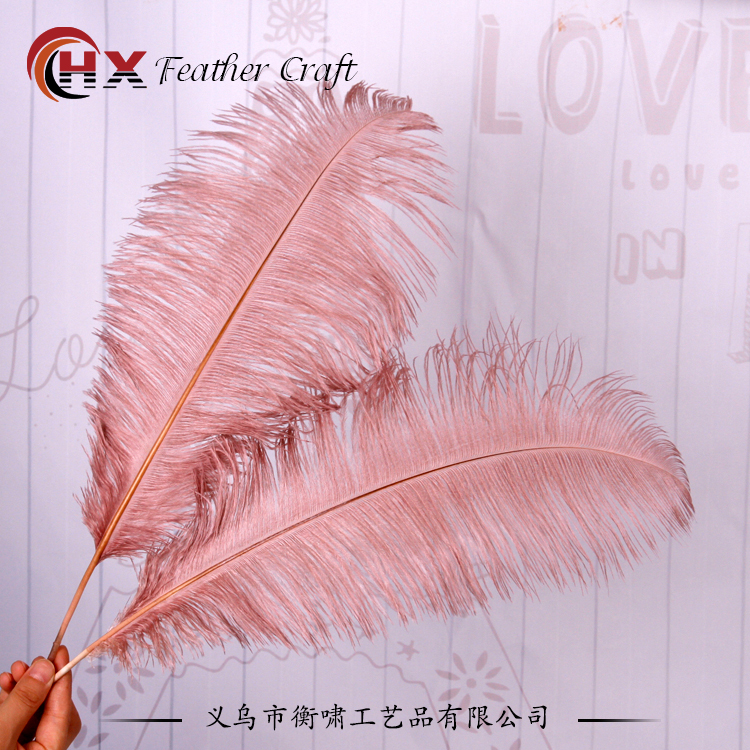 Plumas de avestruz DIY red ins rosa de avestruz accesorios de fotografía de camello adornos de plumas de boda decoración
