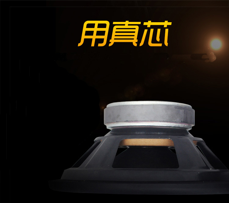 Car Subwoofer Audio Car 11.2inch v Active Power Amplifier High Power Speaker Speaker Subwoofer Modification