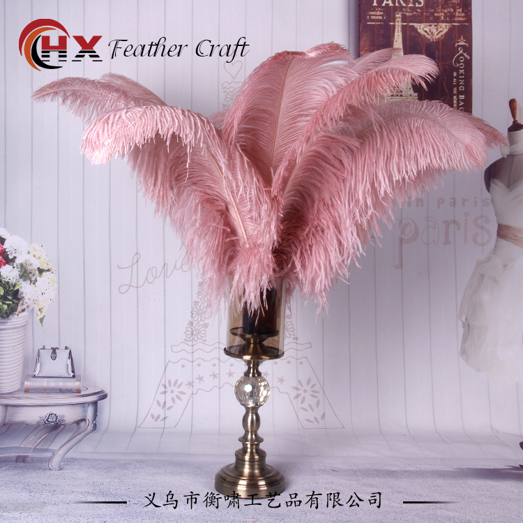 Plumas de avestruz DIY red ins rosa de avestruz accesorios de fotografía de camello adornos de plumas de boda decoración